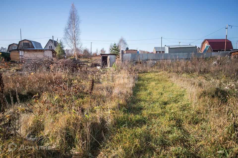 земля г Бердск снт Марьин Лог ул 51-я городской округ Бердск фото 7