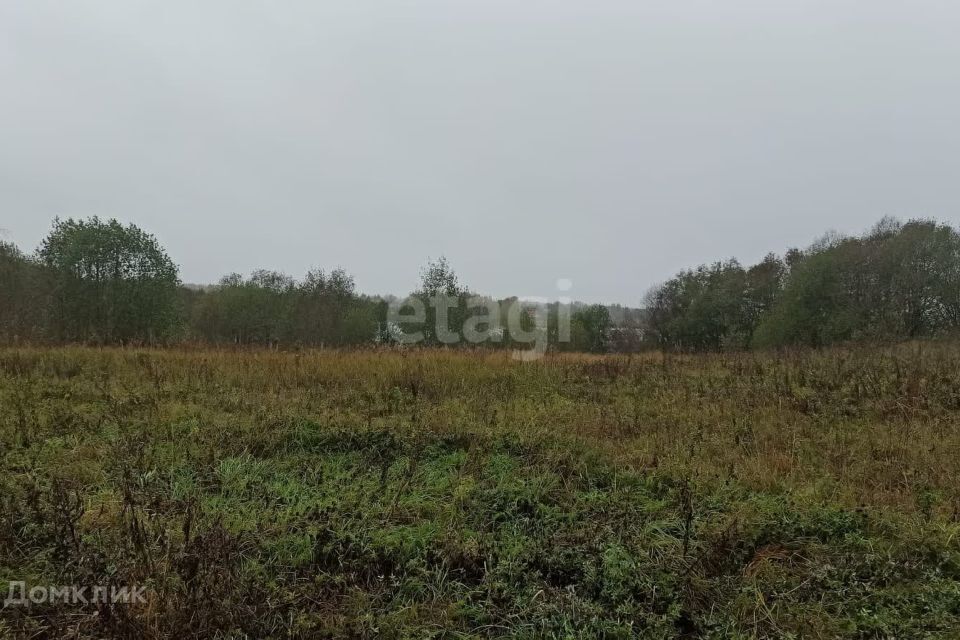 земля р-н Вышневолоцкий деревня Пашино-Садовое фото 10