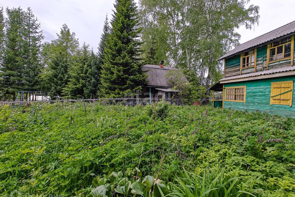 дом г Новосибирск р-н Дзержинский снт Садовод-Мичуринец 205, городской округ Новосибирск фото 9