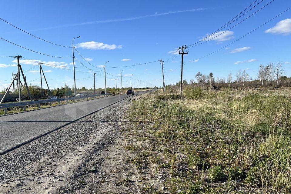 земля г Тюмень снт Царево ул Ромашковая городской округ Тюмень фото 8