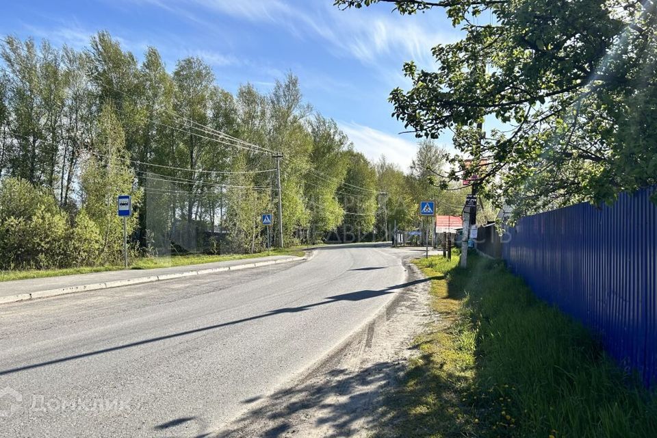 земля г Тюмень снт Царево ул Ромашковая городской округ Тюмень фото 9