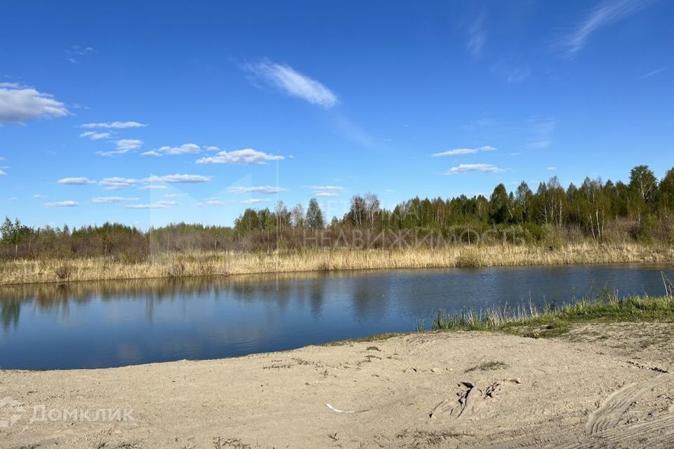 земля г Тюмень снт Царево ул Ромашковая городской округ Тюмень фото 6