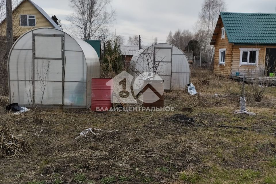 земля г Новосибирск р-н Заельцовский снт Пенсионер 110, городской округ Новосибирск фото 6