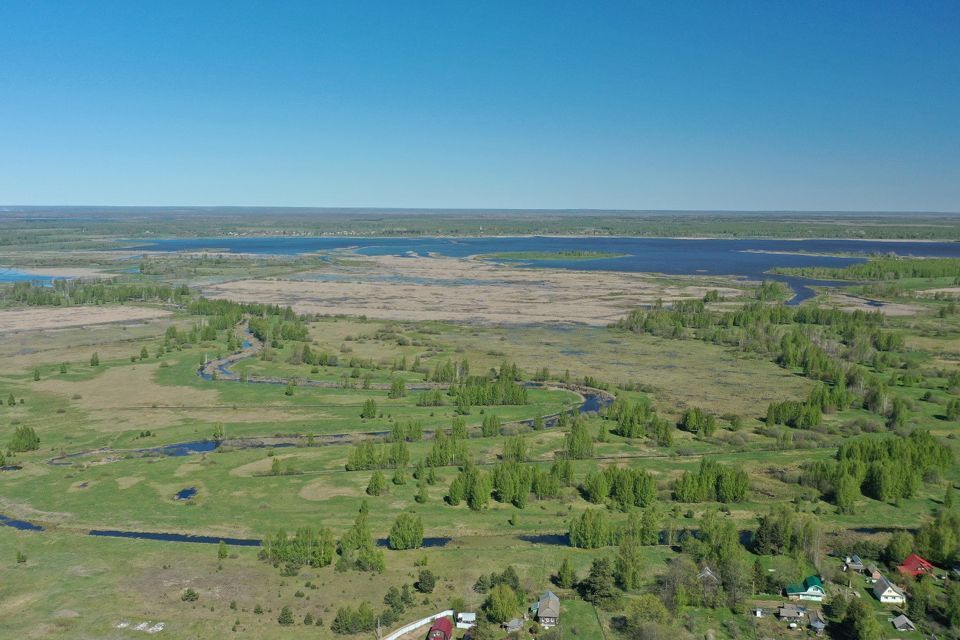 земля р-н Некрасовский деревня Ворокса фото 6