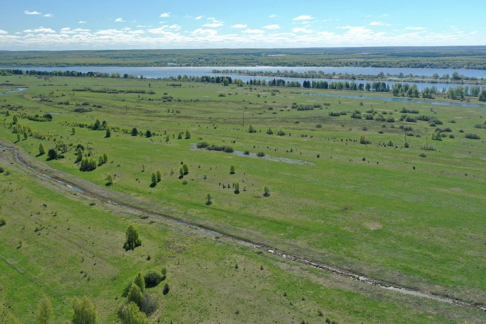 земля р-н Некрасовский деревня Ворокса фото 7