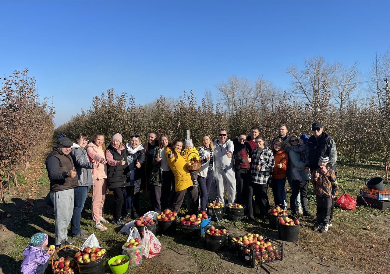 земля р-н Белгородский с Мясоедово Разумное фото 26