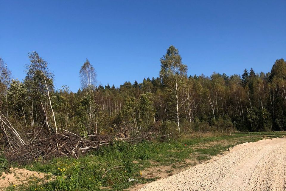 земля городской округ Наро-Фоминский коттеджный посёлок Вишнёвый фото 9