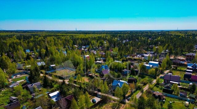 земля снт Феникс Сертоловское городское поселение, 10 фото