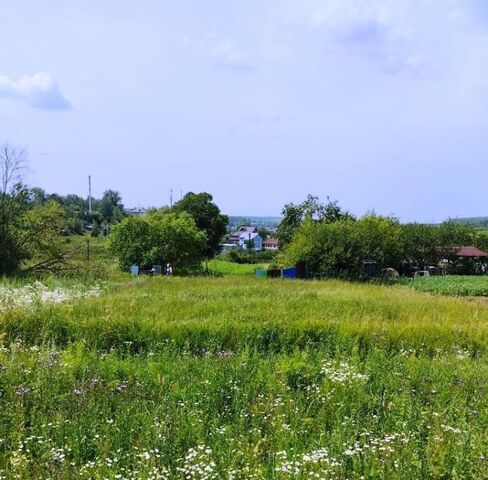 с Товарково Товарковское муниципальное образование, Семеновка сл фото