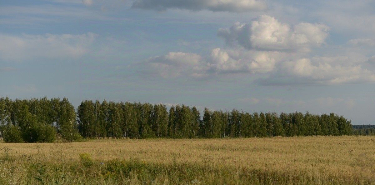 земля р-н Ясногорский Теляковское муниципальное образование, Зеленая миля кп фото 2