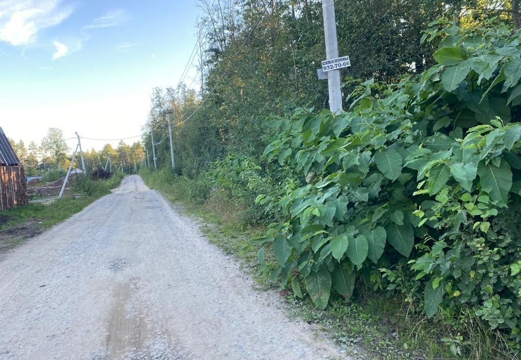 земля р-н Всеволожский п Новое Токсово Токсовское городское поселение, коттеджный пос. Эко Токсово 2, Токсово фото 6