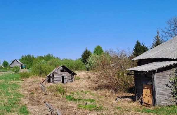 земля р-н Шенкурский д Шипуновская ул Волосатова 68 Шенкурск фото 1