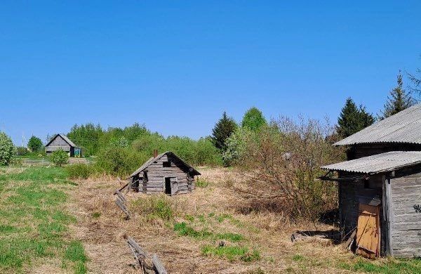 земля р-н Шенкурский д Шипуновская ул Волосатова 68 Шенкурск фото 2