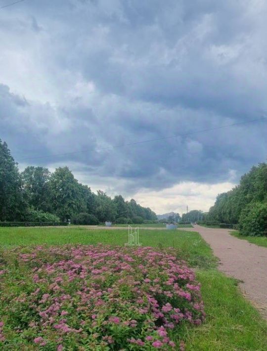 квартира г Санкт-Петербург метро Ломоносовская б-р Красных Зорь 2 фото 13