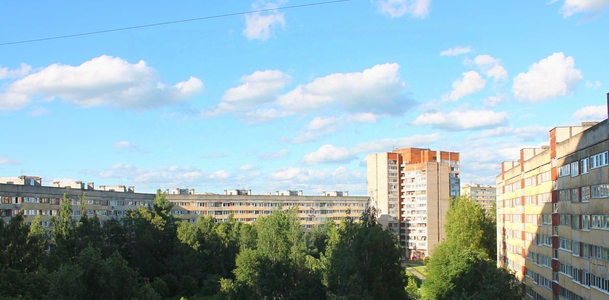 квартира г Санкт-Петербург метро Проспект Просвещения ш Выборгское 27к/3 фото 25