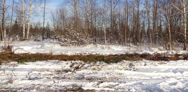 садовое товарищество Семилужки, Томск фото