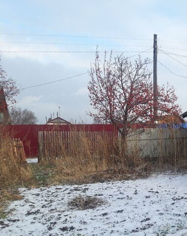 д Терентьево снт Маяк Сосновоборск фото