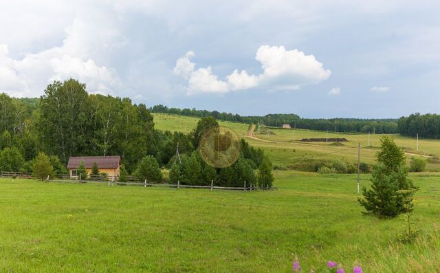 земля д Мужичкино Емельяново фото