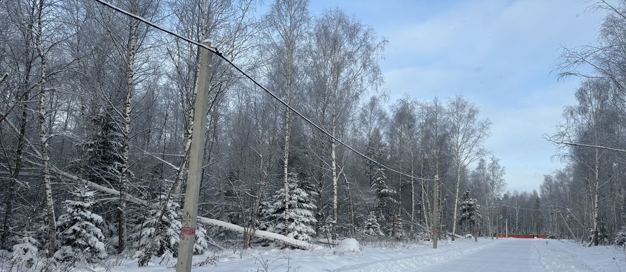 земля городской округ Раменский д Коняшино ул Зеленая Речицы фото 19