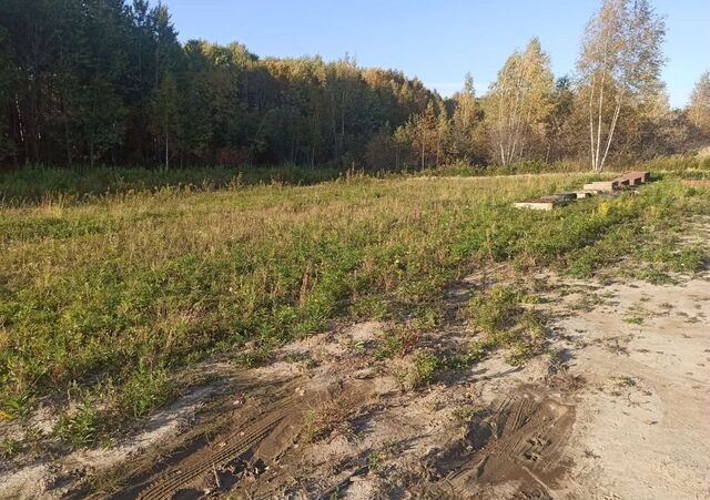 Мичуринское сельское поселение, дачное некоммерческое товарищество Виктория, Хабаровск фото