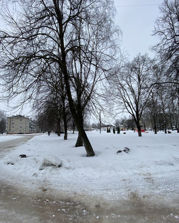 квартира р-н Дятьковский п Любохна ул Пушкина 7 Любохонское городское поселение фото 31