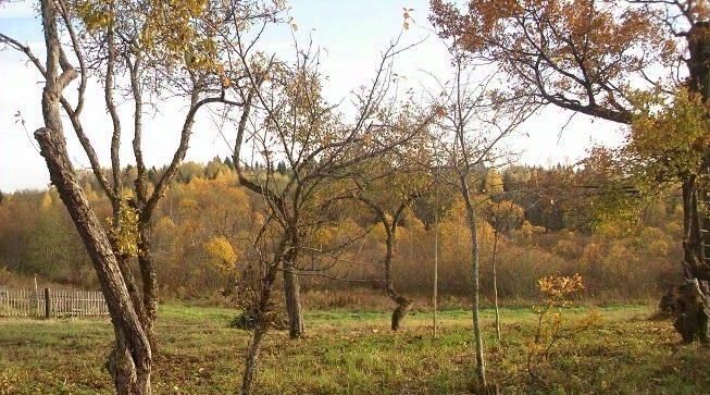 дом р-н Западнодвинский г Западная Двина д Глубокое фото 4