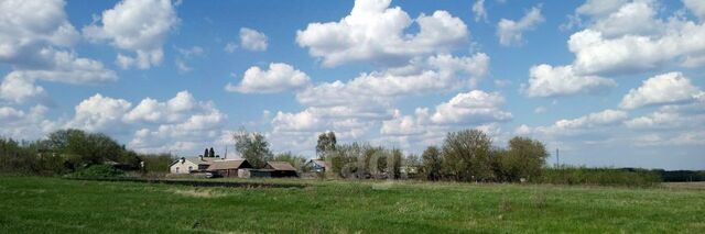 с Александровка ул Советская Александровский сельсовет фото