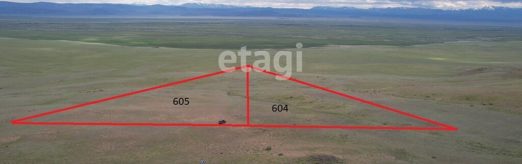 земля р-н Кош-Агачский с Теленгит-Сортогой фото 1