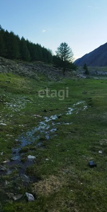 земля р-н Кош-Агачский с Теленгит-Сортогой фото 4