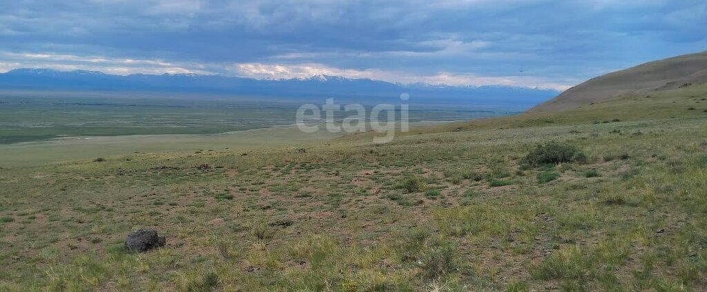 земля р-н Кош-Агачский с Теленгит-Сортогой фото 6