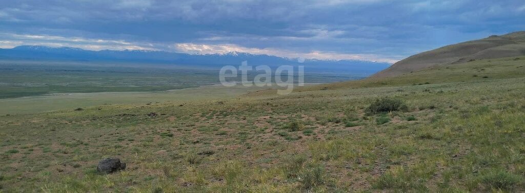 земля р-н Кош-Агачский с Теленгит-Сортогой фото 9