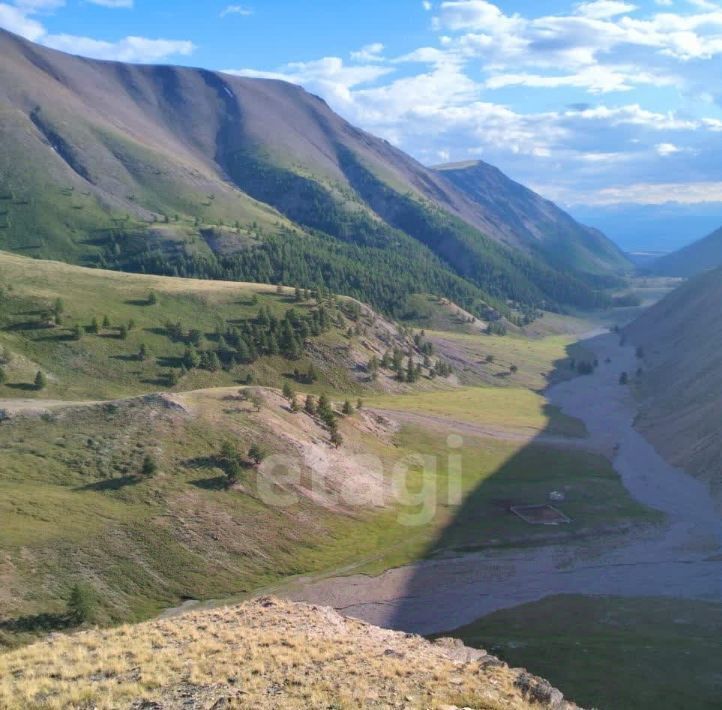 земля р-н Кош-Агачский с Теленгит-Сортогой фото 3