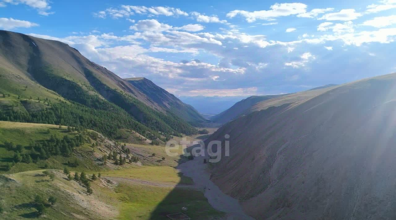 земля р-н Кош-Агачский с Теленгит-Сортогой фото 1