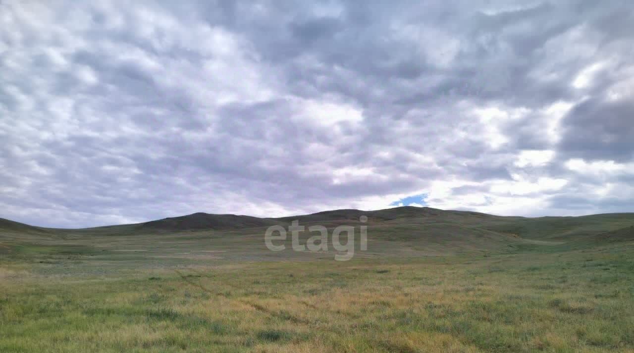 земля р-н Кош-Агачский с Теленгит-Сортогой фото 4