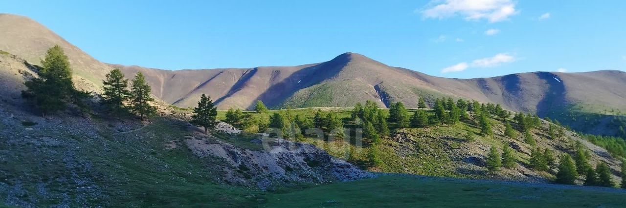 земля р-н Кош-Агачский с Теленгит-Сортогой фото 10