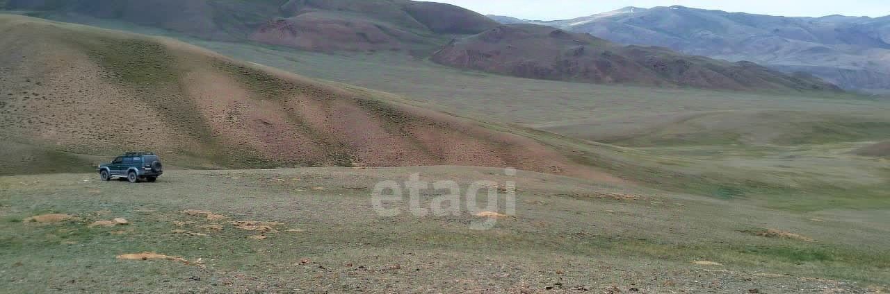 земля р-н Кош-Агачский с Теленгит-Сортогой фото 9