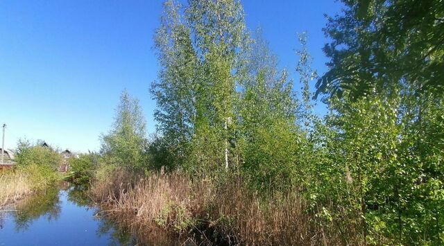 Панковское городское поселение, № 3 садоводческий массив фото