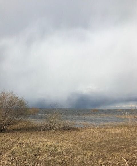 земля р-н Шимский д Мстонь Шимское городское поселение, Шимск фото 16