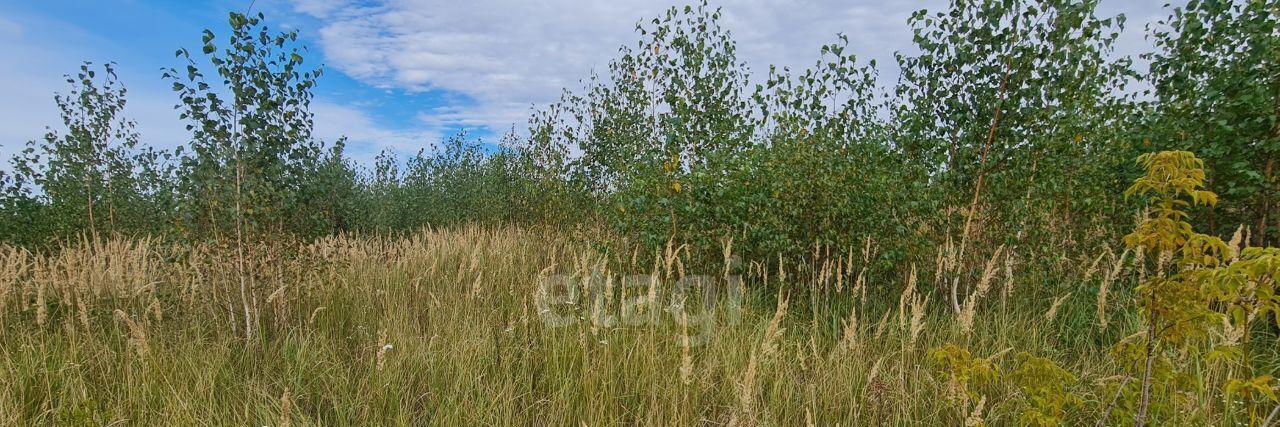 земля р-н Грязинский с Головщино ул Садовая Плехановский сельсовет фото 1