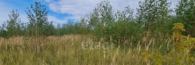 Плехановский сельсовет фото