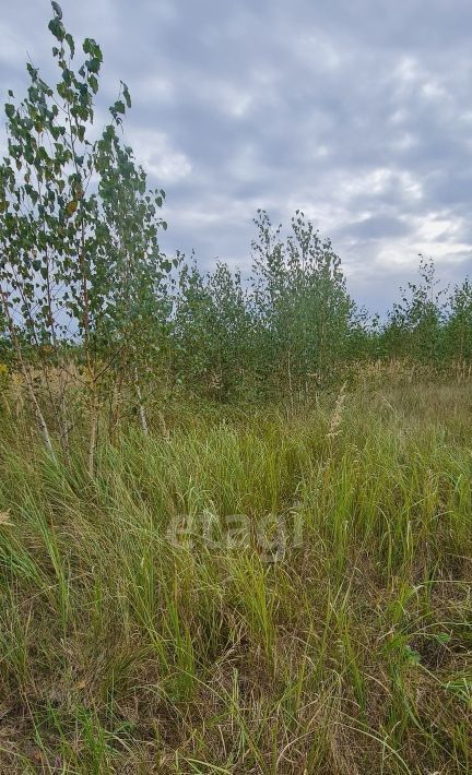 земля р-н Грязинский с Головщино ул Садовая Плехановский сельсовет фото 4