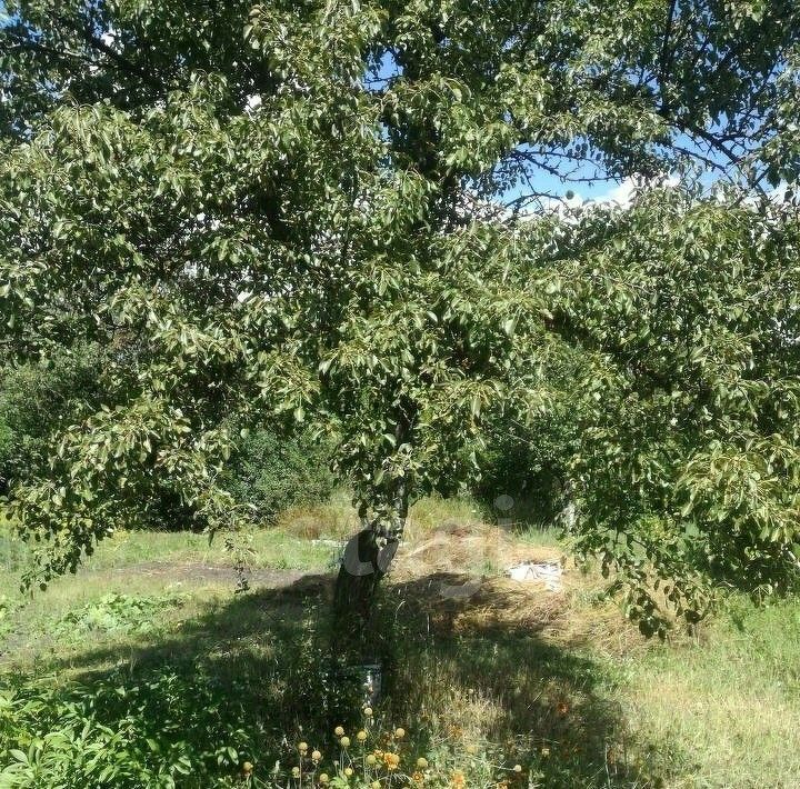 дом г Липецк р-н Правобережный снт тер.Имени И.В. Мичурина ул. Транспортная фото 14