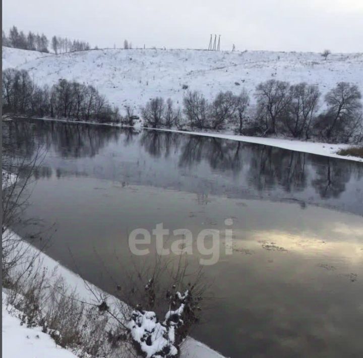 дом р-н Лебедянский д Большой Верх ул Набережная 45 Яблоневский сельсовет фото 11