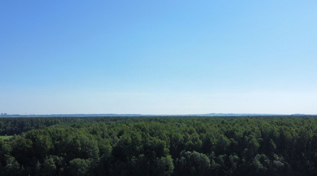 квартира р-н Ломоносовский п Аннино Новоселье городской поселок, Проспект Ветеранов, ул. Большая Балтийская, 10к 1 фото 4