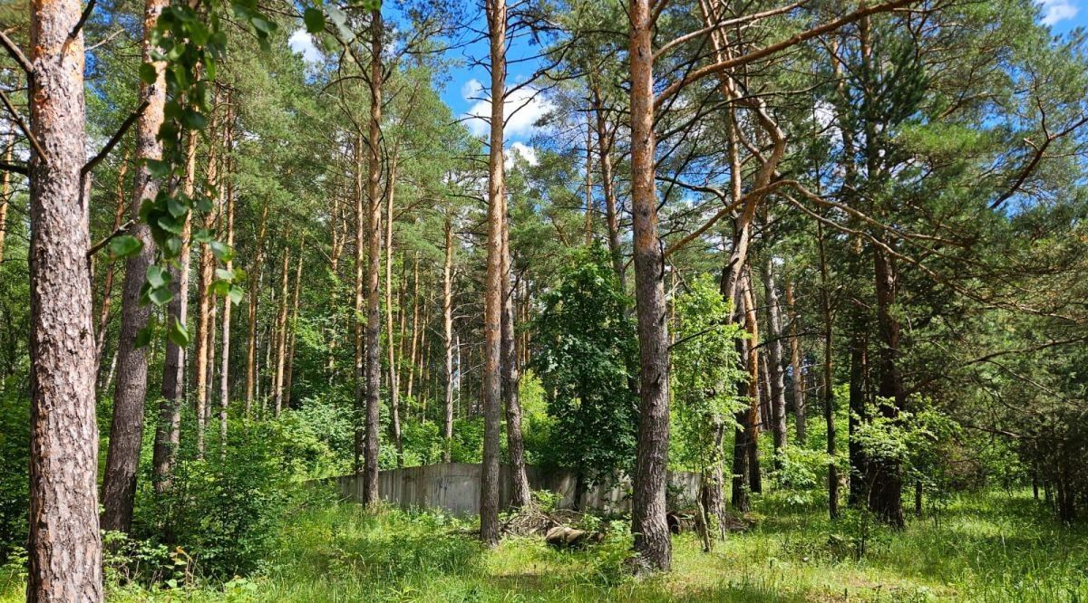 земля р-н Заокский д Нижнее Романово Малаховское муниципальное образование фото 5