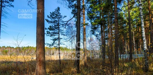 земля Ушаковское муниципальное образование фото