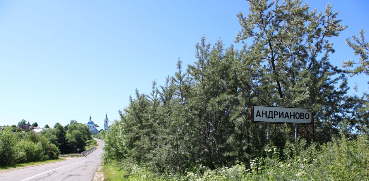 земля р-н Переславский с Андрианово Переславль-Залесский городской округ фото 6