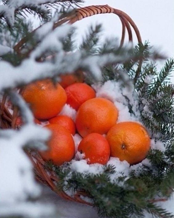 земля р-н Сурский с Большой Кувай Астрадамовское сельское поселение, Сурское фото 1