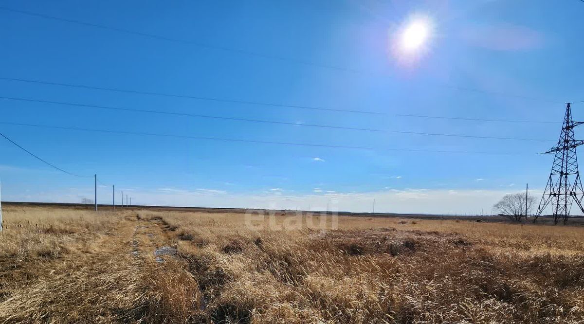 земля р-н Благовещенский с Волково фото 5