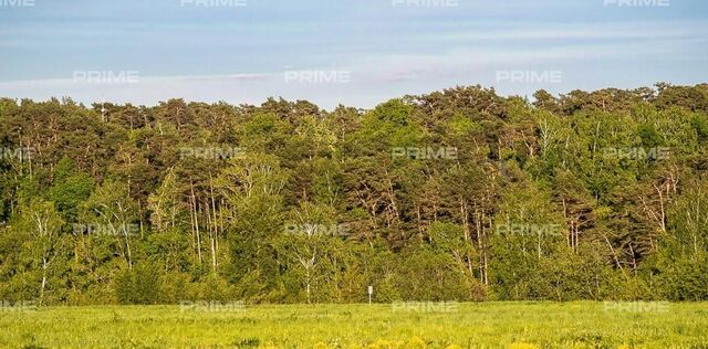 ул Центральная Нахабино фото